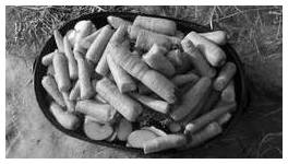Carrots & Apples